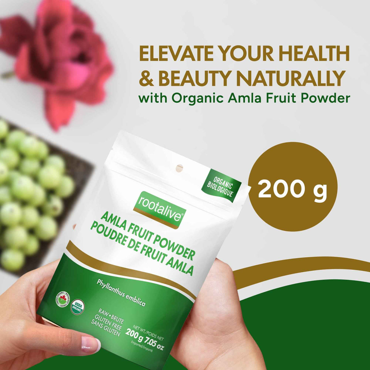 Organic Amla Fruit Powder 200g