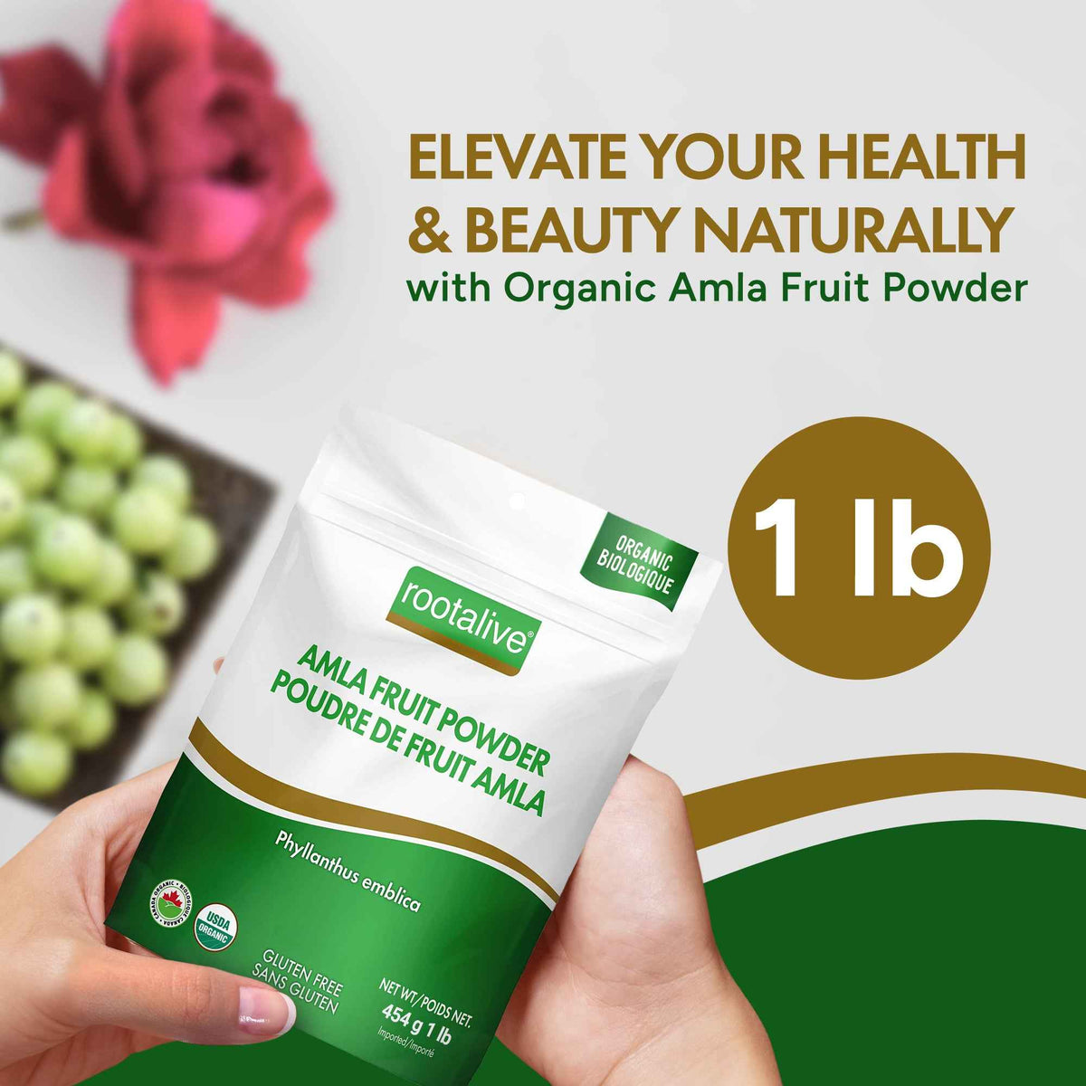 Organic Amla Fruit Powder 454g