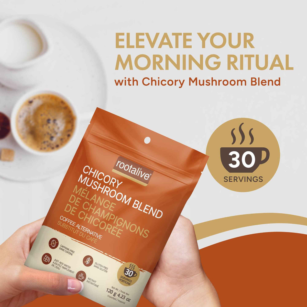 Chicory Mushroom Blend (Coffee Alternative)