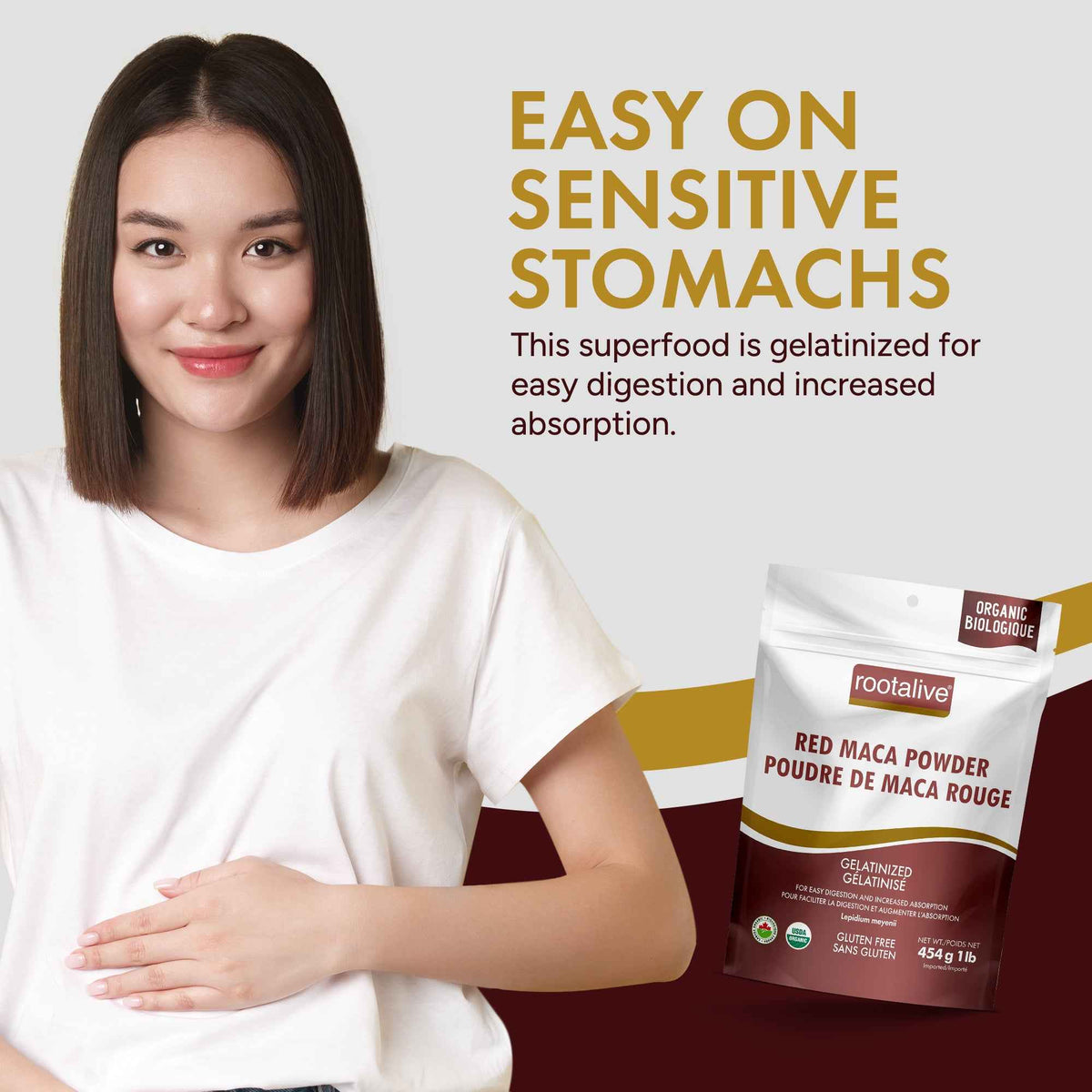 Organic Gelatinized Red Maca Powder 454g